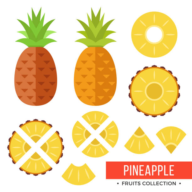 Pineapple. Whole pineapple, ananas and parts, leaves, slices, core. Set of fruits. Flat design graphic elements. Vector illustration Pineapple. Whole pineapple, ananas and parts, leaves, slices, core. Set of fruits. Flat design graphic elements. Vector illustration isolated on white background ananas stock illustrations