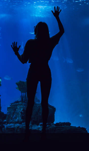 istock Woman in oceanarium 852849104