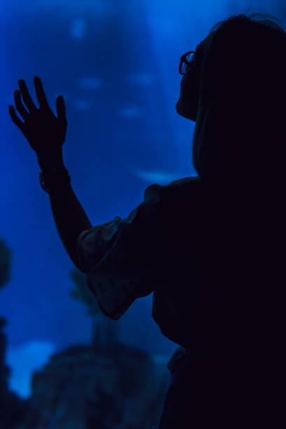istock Woman in oceanarium 852849106