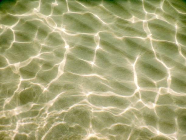 istock A white sand bottom in Salento beautiful sandy beach, Italy 852862356