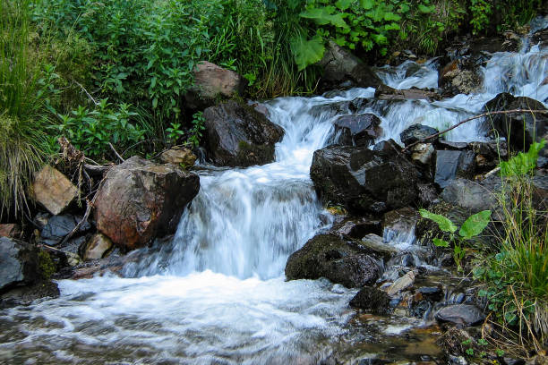 przez las przepływa mały potok - minature waterfall zdjęcia i obrazy z banku zdjęć