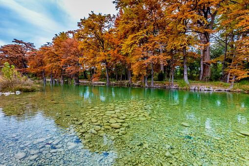 Beautiful Fall Foliage Surrounding the Rocky Riverbed of the Clear Frio River, Texas.