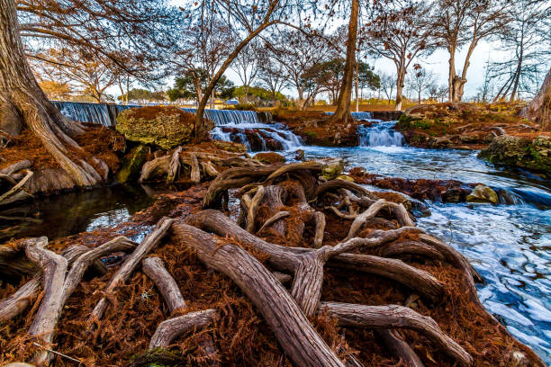 istock Beautiful Flowing Waterfall  with Big Cypress Trees 852885966