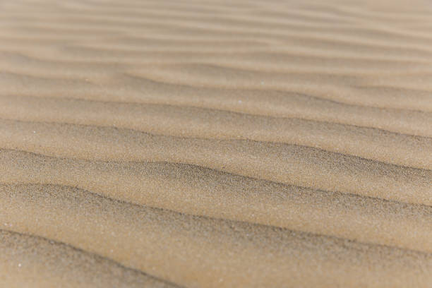 istock Texture of sand on the beach 852893970