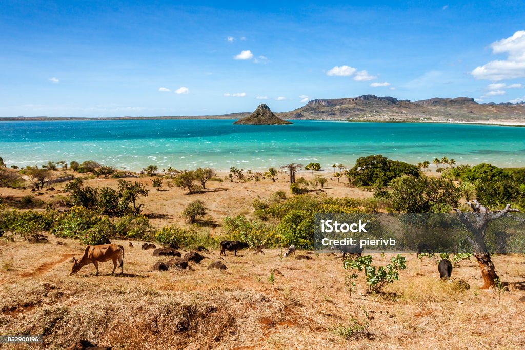 Antsiranana bay - Photo de Madagascar libre de droits