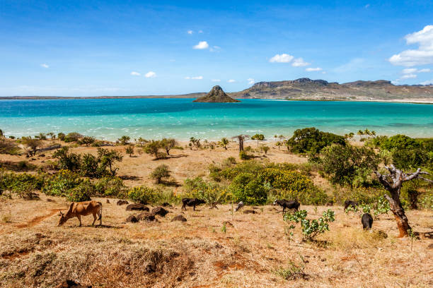 Antsiranana bay View on Antsiranana bay (Diego Suarez), northern Madagascar madagascar beach photos stock pictures, royalty-free photos & images