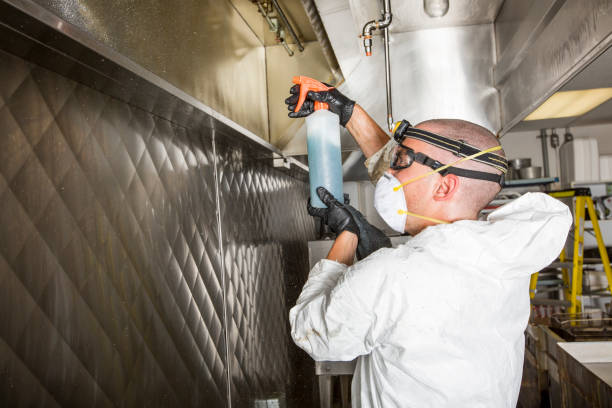 istock Commercial kitchen worker washing up at sink in professional kitchen 852917624