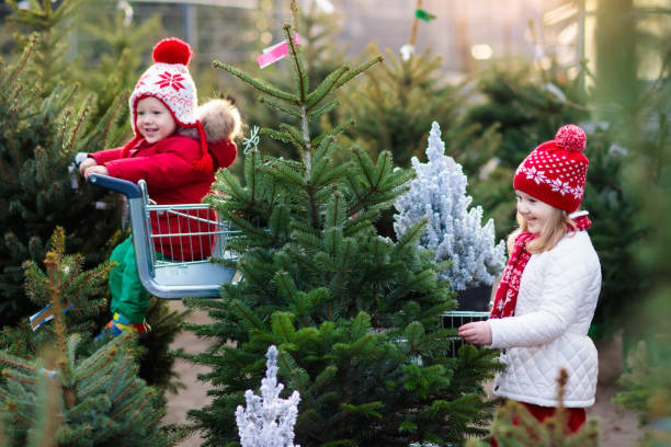 istock Kids selecting Christmas tree. Xmas gifts shopping. 852949174