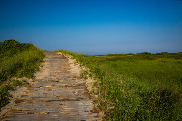 istock Beach path leading to Gay Heads Beach 852968168