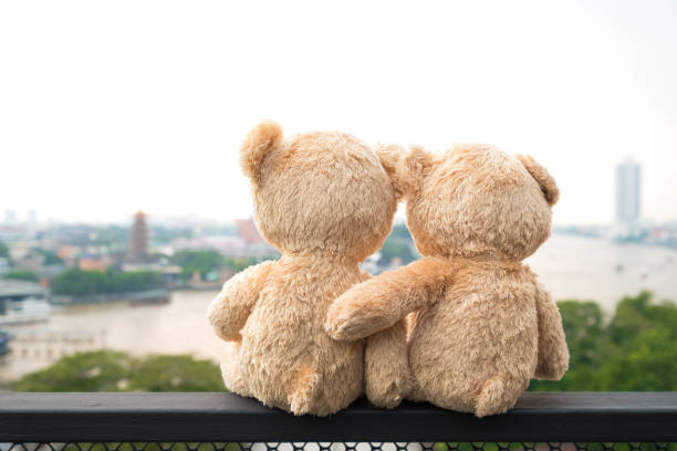 Two teddy bears sitting river view. Love and relationship concept (Chao Phraya river in Bangkok city)