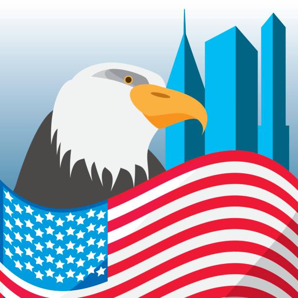nice eagle with american flag in the city nice eagle with american flag in the city, vector illustration 4th century bc stock illustrations