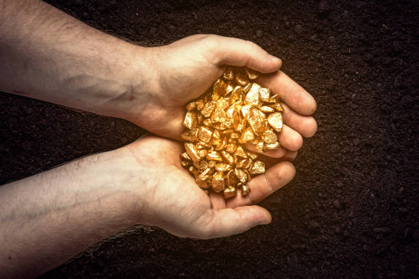 Gold nuggets the hands of the miner.  The working hands of a peasant with pure gold. top view Gold nuggets the hands of the miner.  The working hands of a peasant with pure gold. top view gold mine stock pictures, royalty-free photos & images