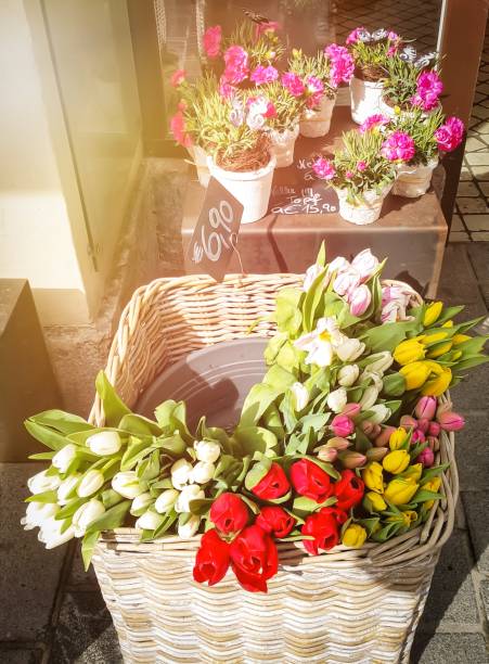 istock beautiful flowers  in a wicker basket 853018066