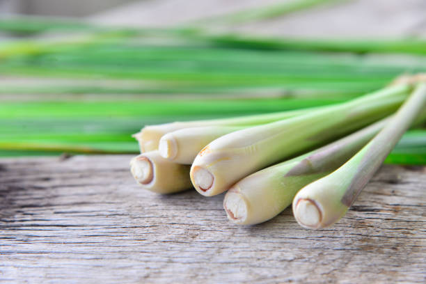 istock Fresh lemongrass  on wooden texture in cooking concept. 853020864