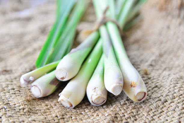 istock Fresh lemongrass  on wooden texture in cooking concept. 853021134