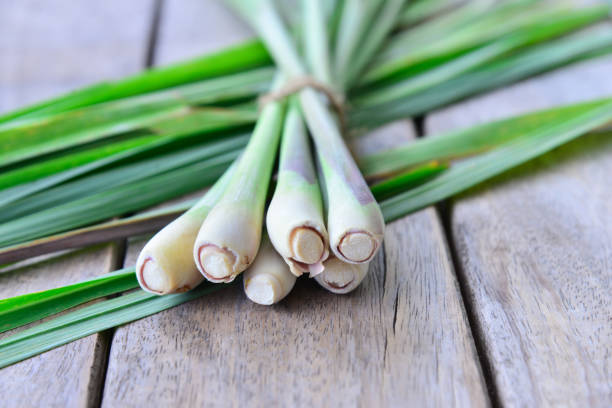 istock Fresh lemongrass  on wooden texture in cooking concept. 853021296