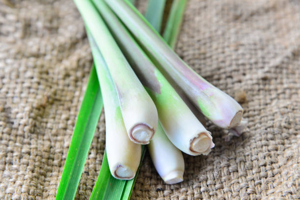 istock Fresh lemongrass  on wooden texture in cooking concept. 853021300