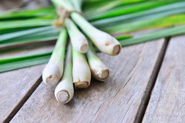 istock Fresh lemongrass  on wooden texture in cooking concept. 853021306