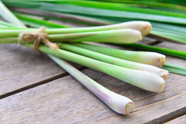 istock Fresh lemongrass  on wooden texture in cooking concept. 853021350