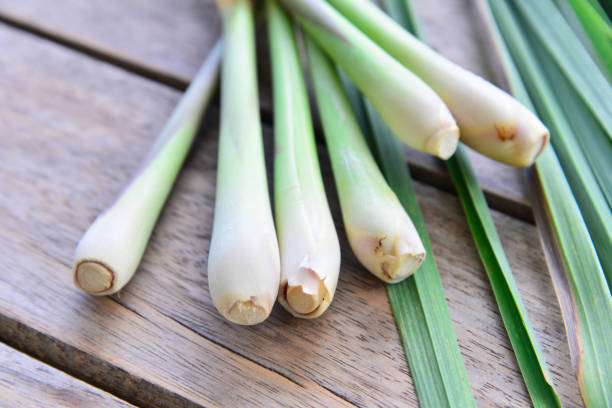 istock Fresh lemongrass  on wooden texture in cooking concept. 853021356