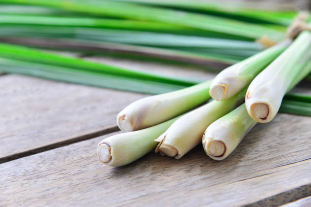 istock Fresh lemongrass  on wooden texture in cooking concept. 853021384