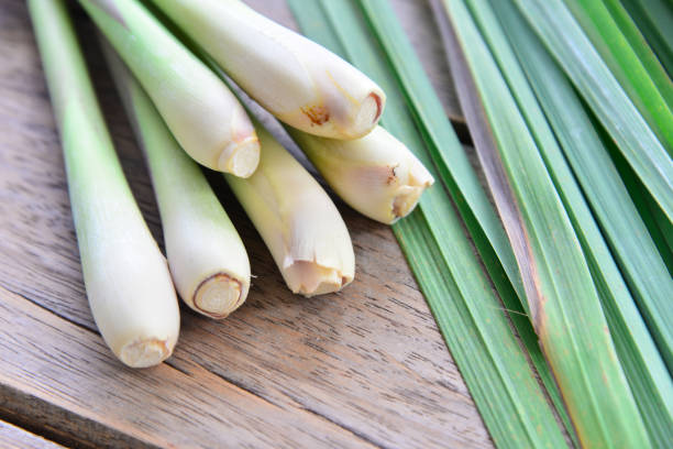 istock Fresh lemongrass  on wooden texture in cooking concept. 853021392