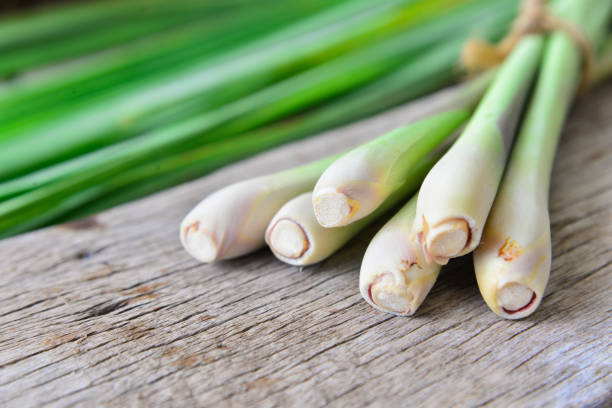 istock Fresh lemongrass  on wooden texture in cooking concept. 853021440
