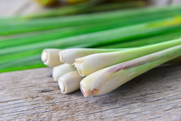 istock Fresh lemongrass  on wooden texture in cooking concept. 853021530