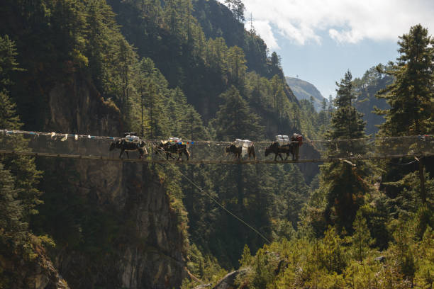 namche bridge - lukla imagens e fotografias de stock