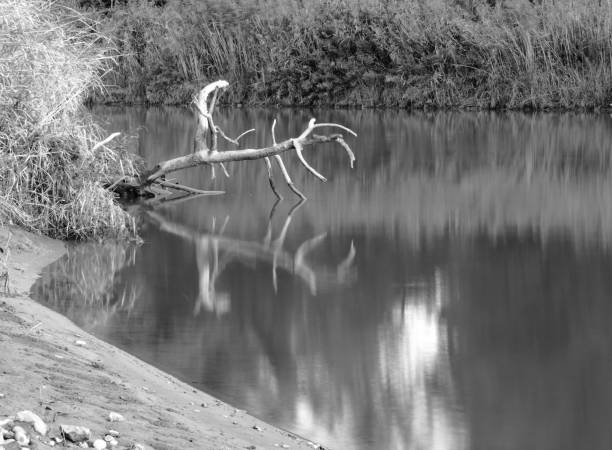 istock Black and white long exposure water and stones 853054020