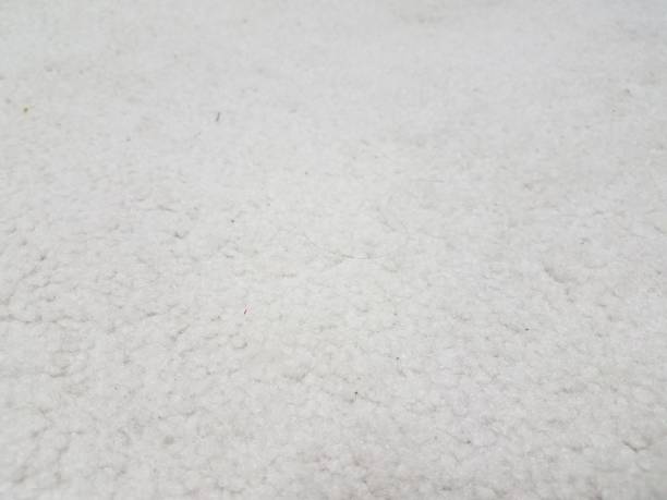 istock dirty white carpet with hair up close 853054494