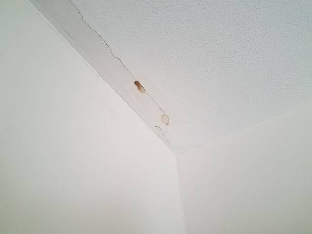 istock crack and leak in the write drywall ceiling 853057926