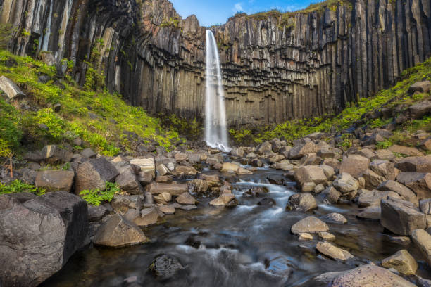 istock Svartifoss waterfall in Skaftafell national park, Iceland 853082762
