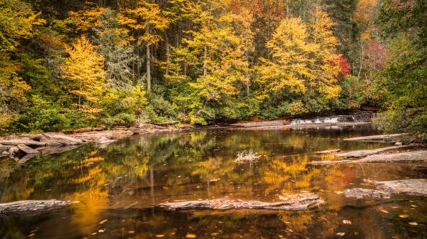 istock calm river surrounding by forest in fall colors 853085250