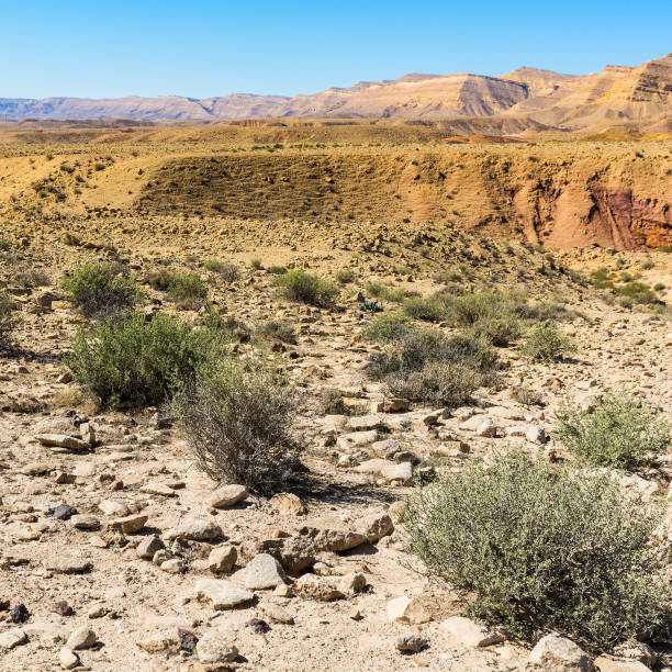 istock Breathtaking landscape of the desert 853090112