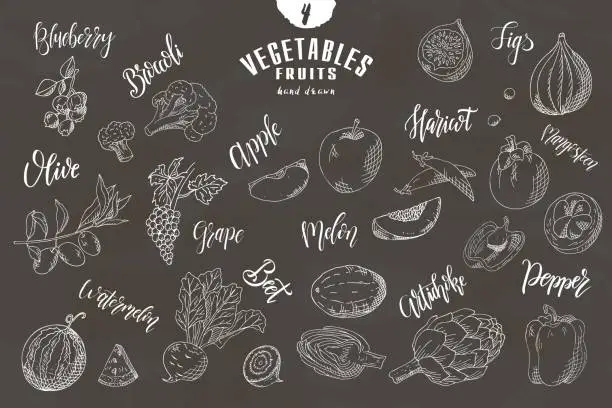 Vector illustration of Doodle elements of fruit and vegetable. Hand drawn shetches. Vector illustration of healthy food.