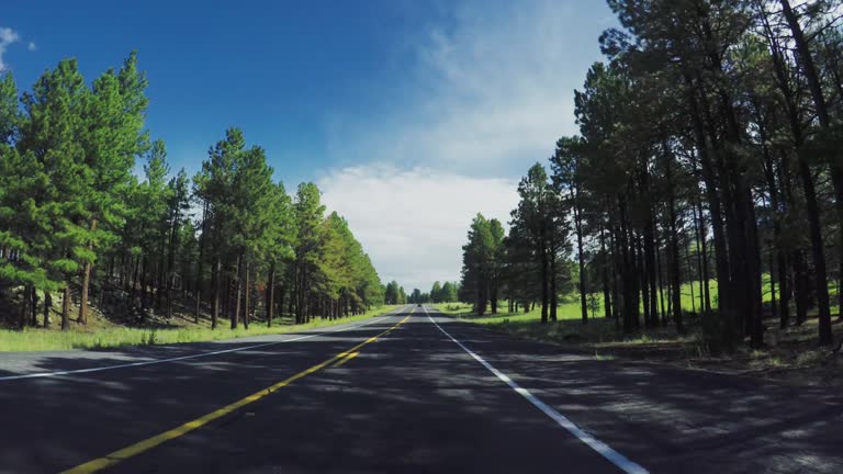 POV car driving on a mountain pass in the USA