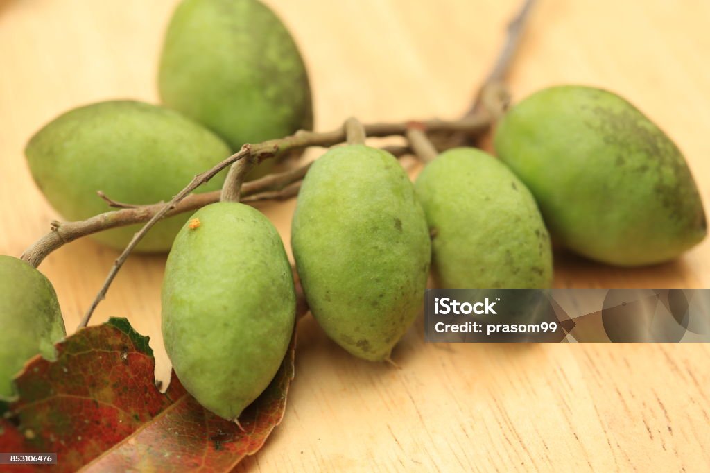 olive Harvesting olives in Sicily village, Thailand Agriculture Stock Photo