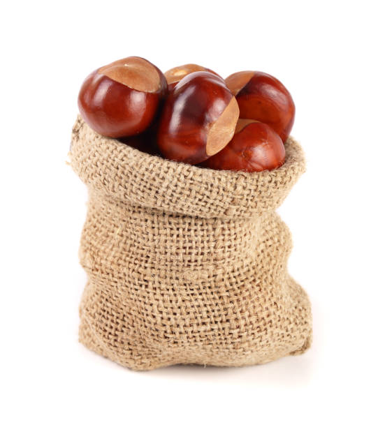 istock chestnut in a bag isolated on white background closeup 853106908