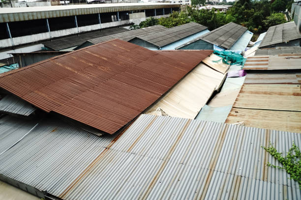 istock The roof is made of tin or tile with tree Climbers. 853106936