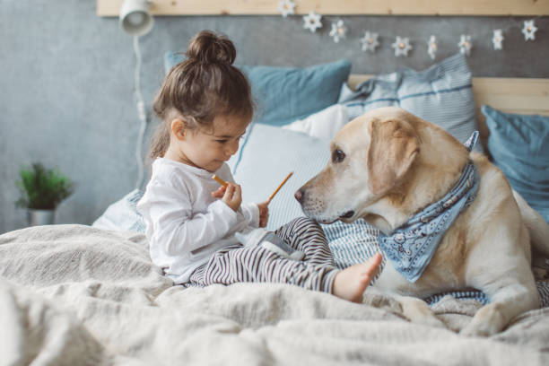 私たちの小さな王国 - child house dog bed ストックフォトと画像