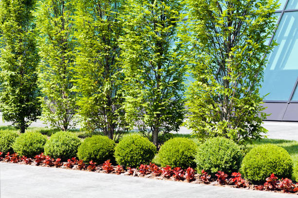 istock surrounding commercial buildings 853116054