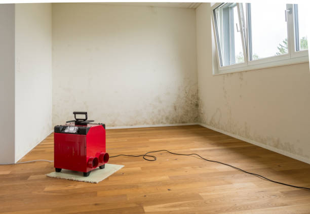istock toxic mold and mildew in a new apartment with a red dehumidifier 853119158
