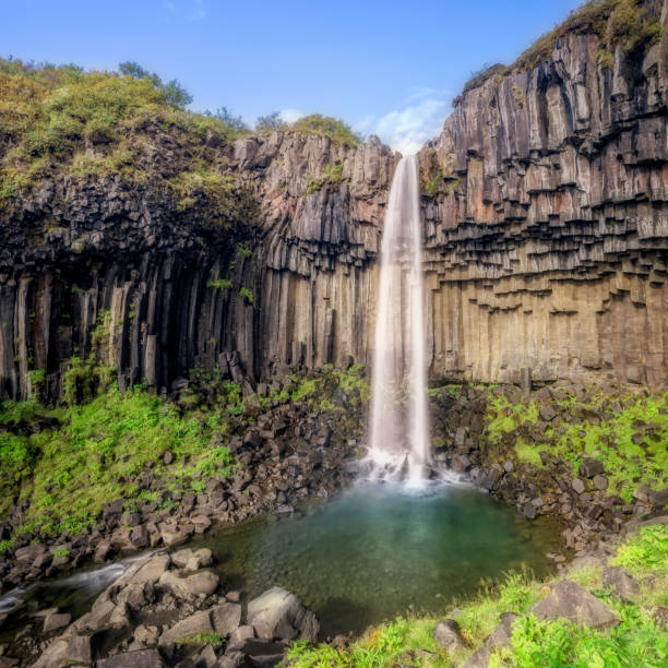 svartifoss waterval in het nationaal park skaftafell, ijsland - skaftafell national park stockfoto's en -beelden