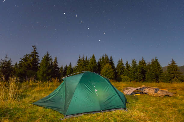 istock tourisric camp on a forest glade at the night 853133552