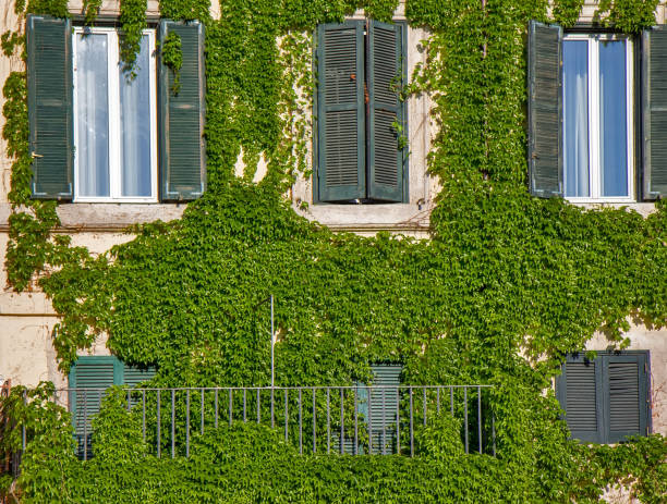 istock Facade of an old building in Rome, covered by ivy. 853152048