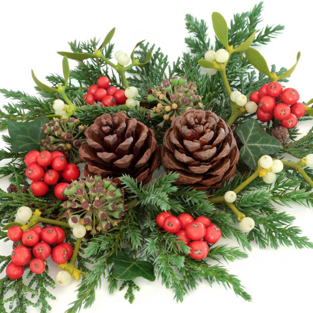 istock Christmas Floral Decoration 853160328