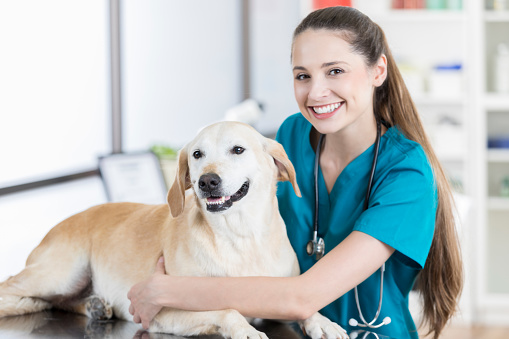 A cheerful young veterinary nurse stands beside her yellow lab patient who is lying on an exam table in her clinic.  She puts her arm around the adorable creature as she smiles for the camera.