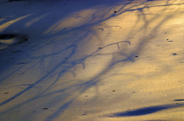 istock Full screen high resolution shot of snow. Good for a texture or a background. 853179866