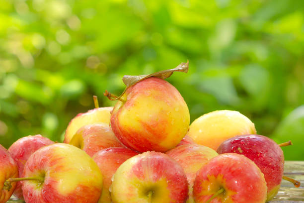 istock Organic summer apples and green grass 853188442